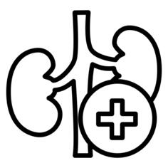 Kidney