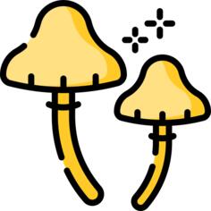 Mushroom