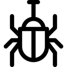 Beetle