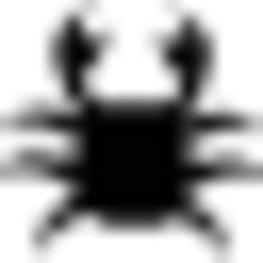 Crab