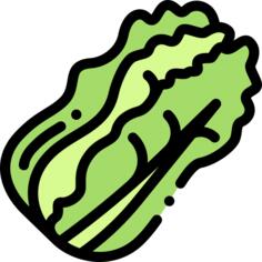 卷心菜