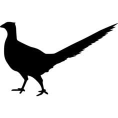 Bird Peasant animal shape