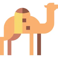 Camel
