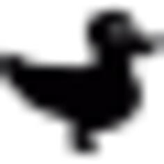 Rubber Ducky