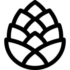 Pine cone