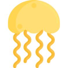 Jellyfish
