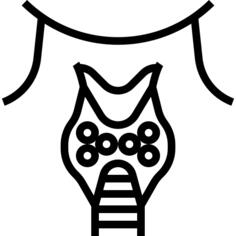 Thyroid