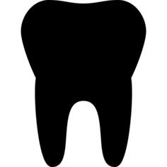 Teeth