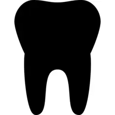 Teeth