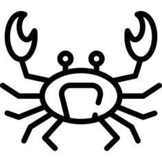 Big Crab