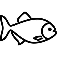 Big Piranha