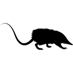 Rat silhouette