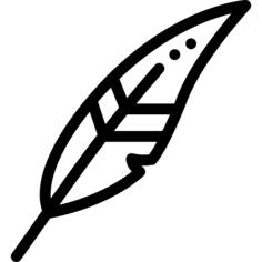Feather