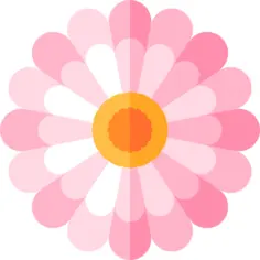 Aster