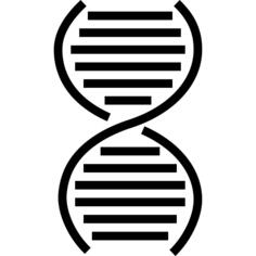基因