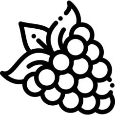 覆盆子