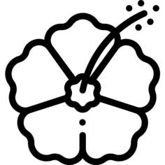 槿