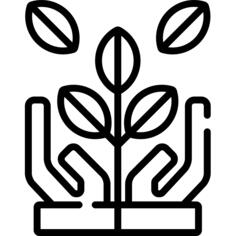 Growth