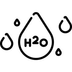 H2O