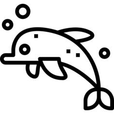 海豚