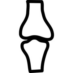 Knee