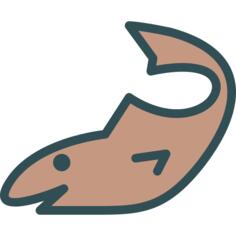鲨鱼