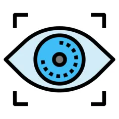 Biometric recognition