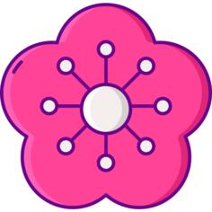 Blossom
