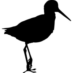 Sandpiper bird shape