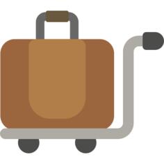 Luggage