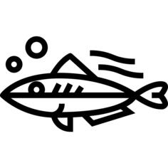Mackerel