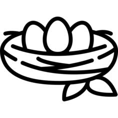 巢