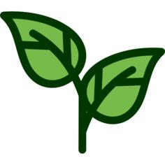 Leaf