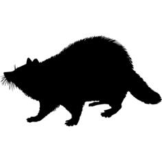 Racoon mammal animal shape