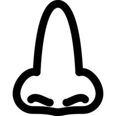 Nose