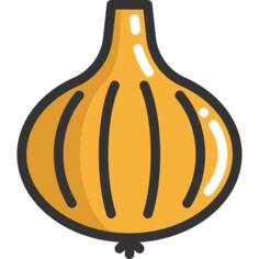 Onion
