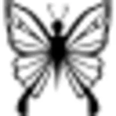 Femenine butterfly design top view