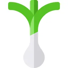 葱