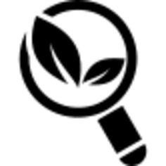 Organic search symbol of magnification tool with leaves