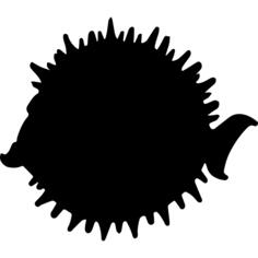Balloonfish side shape