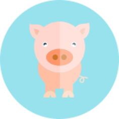 Pig