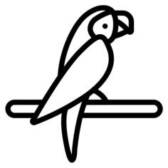 Parrot