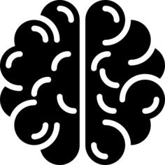 Brain