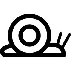 snail