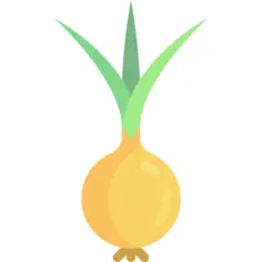 Onion