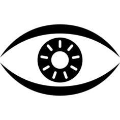 Eye