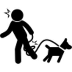 Dog with owner