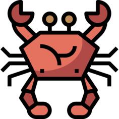 动物