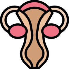 子宫
