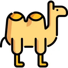 Camel